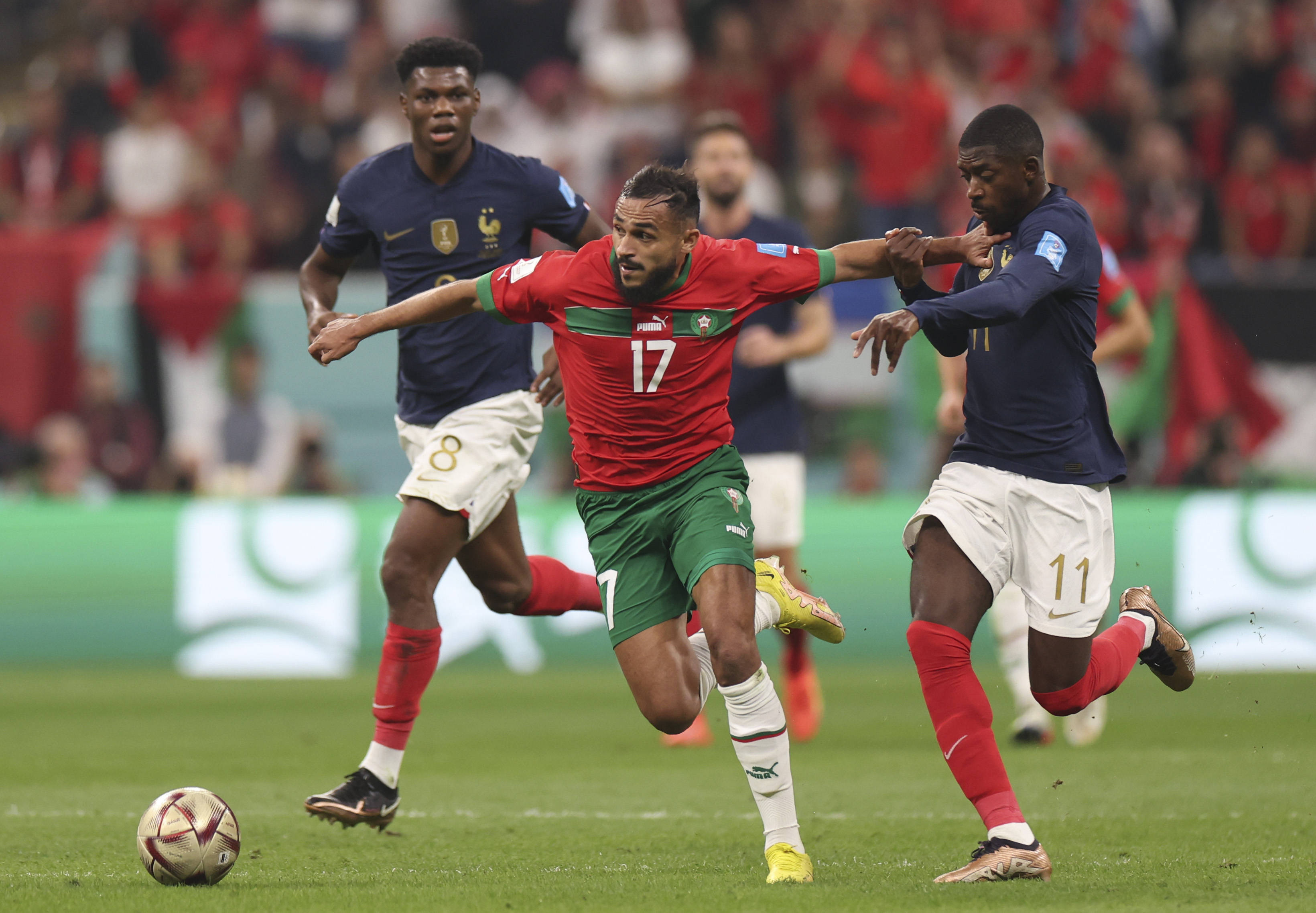 并在竞争激 并在竞争激